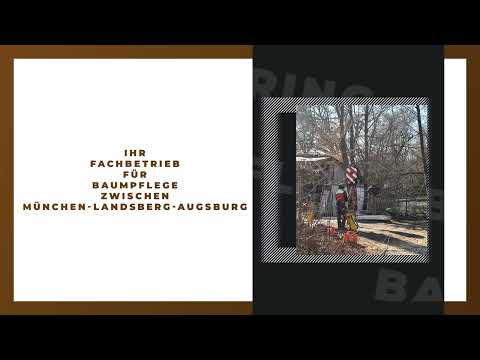 Baumpflege Baumring YouTube-Vdeominiatur 6