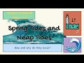 How And Why Do Spring Neap Tides Occur