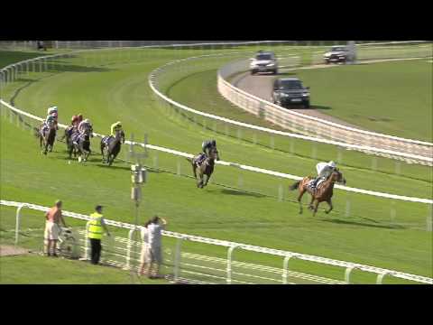 2013 Darley Yorkshire Oaks - The Fugue