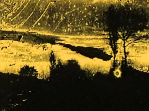 Automatic Perception