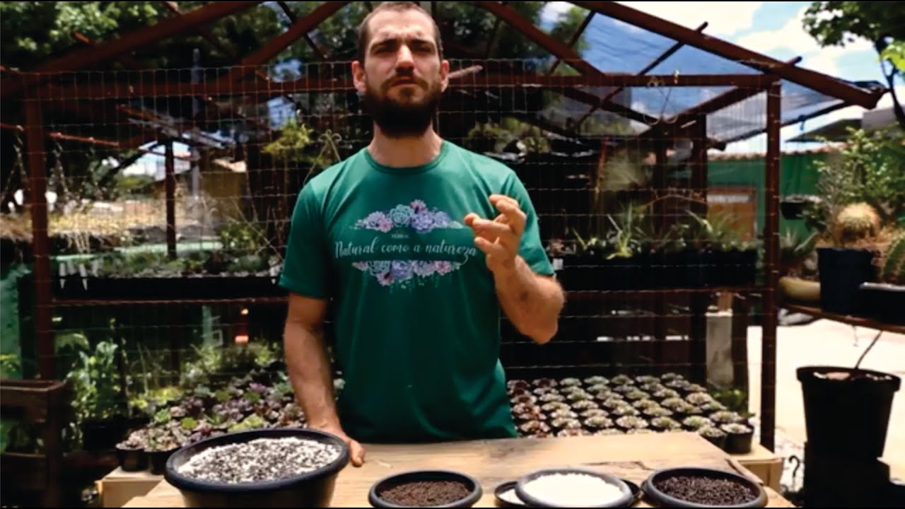 Watch Now Substrato Suculentas Profissional Substrato Suculentas Profissional