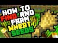 How to Find Wheat Seeds in Minecraft Survival 2019 (And Farm Them)