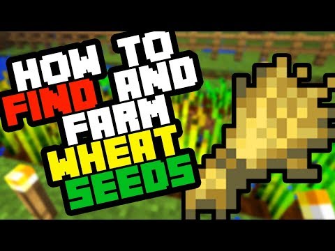 download lagu mp3 mp4 Minecraft Wheat, download lagu Minecraft Wheat gratis, unduh video klip Minecraft Wheat