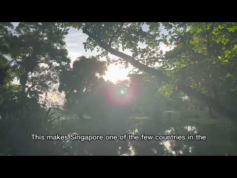 Flood Management In The 21st Century