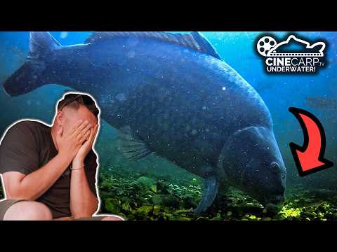 Tom Maker Underwater Carp Fishing! | CineCarp Underwater