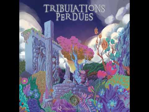 VA - Tribulations Perdues