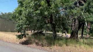 Vlog 93 - Adventure to Taylors in Cave Junction where the Oregon Caves are