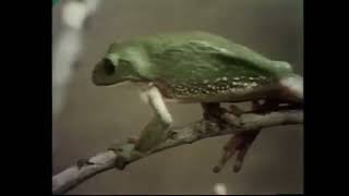 Long Hard Climb - Sesame Street Segment - 720p HD