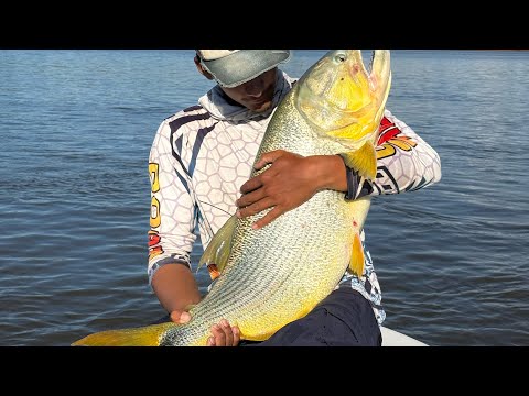 Doradazo en Salto chico (Concordia ,Entre Rios) con el amigo Fabricio👏🏻