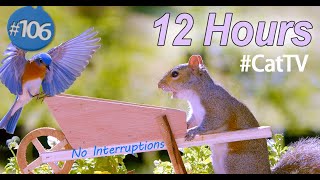 TV for Cats 😻 12 Hours of Birds 🐦 in a Wheel Barrow Uninterrupted CatTV