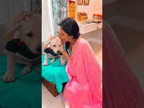 तेजश्री ❤️#tejashripradhan #premachigosht #set #bts #marathiactress #petlove #shorts #itsmajja