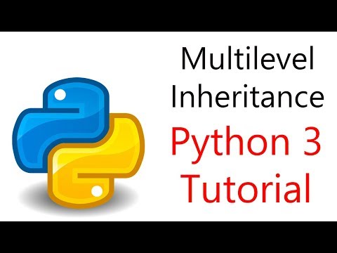 17 Python Programming Multilevel Inheritance