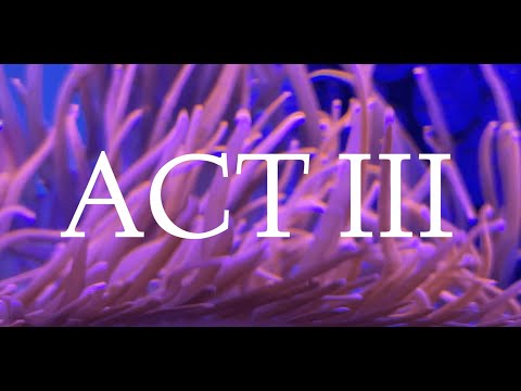 ACT III