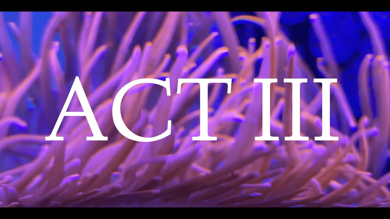 ACT III - An Alex Anderson Short Film