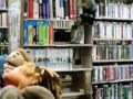 Muppets Wmv