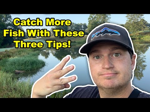 Three Summer Bass Fishing Tips! (Catch More Bass)