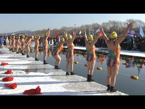 Arab Today- Winter swimming competition welcomes 2018