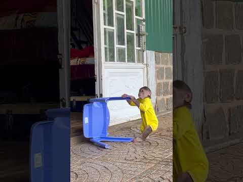 so cute! monkey max with the chair #monkey #funnyanimal #Short