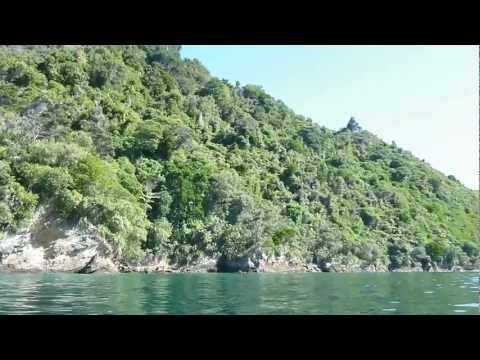 2013.01.11 Marlborough Sounds shoreline