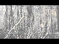 Aeon Sable Aequinoctium (hidden track) 