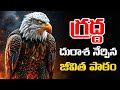 గ్రద్ద దురాశ కథ Life Changing Motivational Story Voice Of Telugu