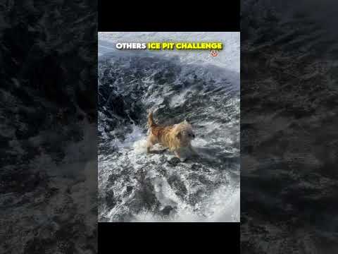 Crazy Ice Pit ☠️ #edit #usa #newyork
