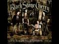 Black Stone Cherry - Peace Is Free 
