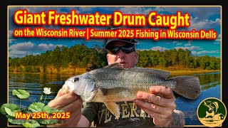 🎣 Giant Freshwater Drum Caught on the Wisconsin River ❗ Summer 2025 Fishing in Wisconsin Dells 🐟