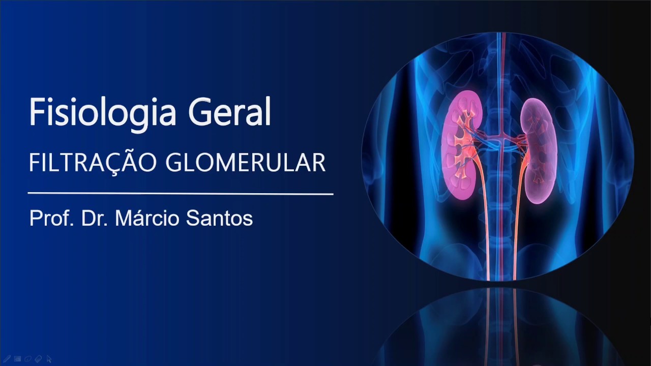 MÓDULO 3 - Aula 8: Filtração Glomerular