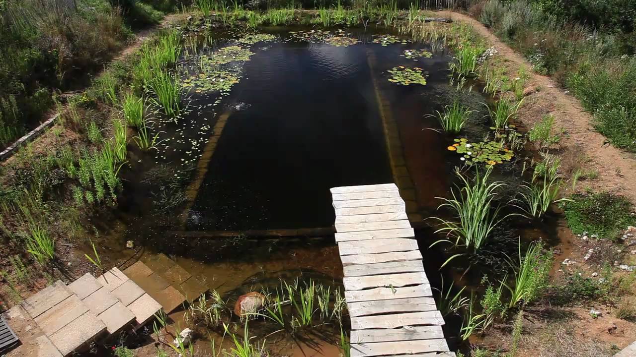 Natural Swimming Pools