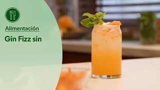 Mercadona Gin Fizz sin alcohol: receta clásica en casa anuncio
