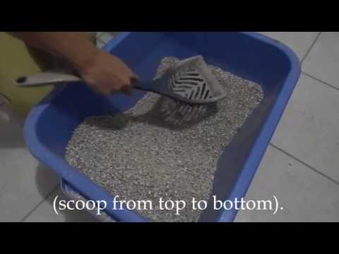 How to clean the litter box video