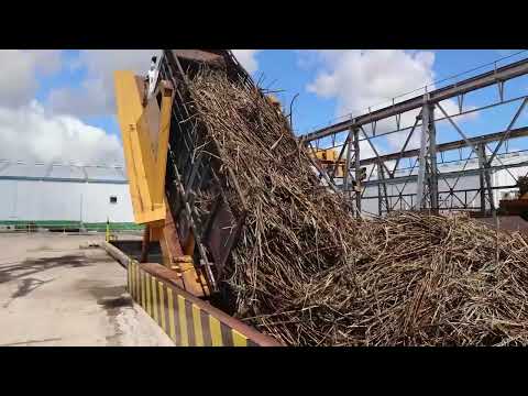 Prime Minister Addresses Production Stoppage at Sugar Mill, Cites Climate Change Impact PT2