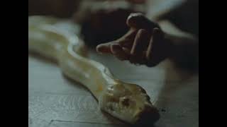 Video thumbnail image