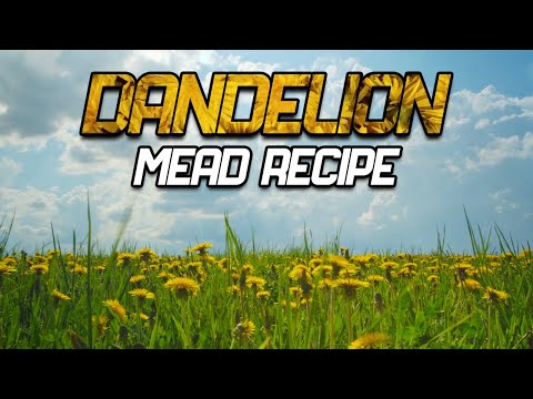 My First Dandelion Mead Ever with 1 Year Tasting!