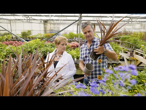 Anne Diamond in conversation with garden designer Antony Henn