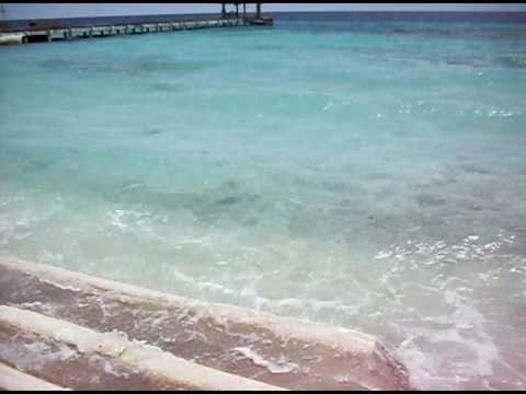 Beach At Maldives