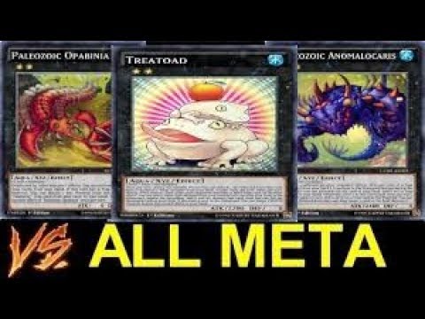 paleozoic frogs 2019 April ygopro