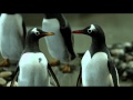 International Trailer 2