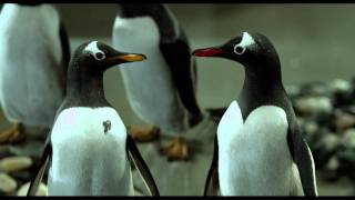 International Trailer 2