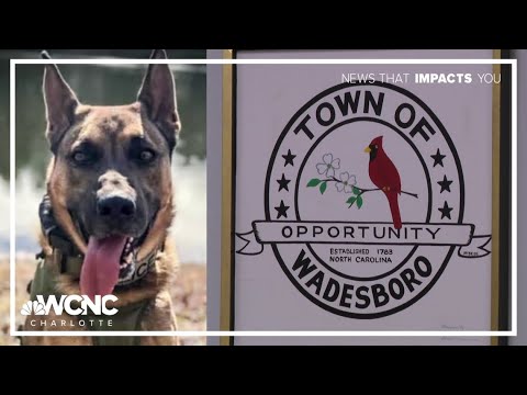 New recordings intensify conflict over K9 Blitz's death and police chief's retirement in Wadesboro