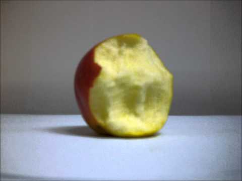 Projekt szkolny - Film pt. "Jabłko"