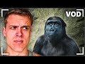 Joe Bartolozzi Reacts Day 314