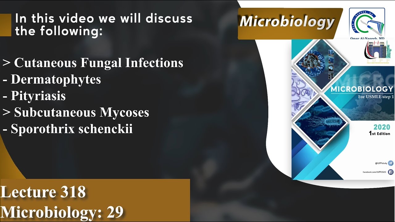 Cutaneous Mycoses | Dermatophytes | Pityriasis | Subcutaneous Mycoses | Sporothrix schenckii