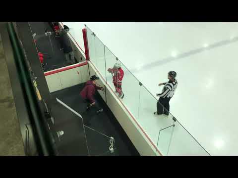 HC Vipers 09 Punane - HC Panter/TSK