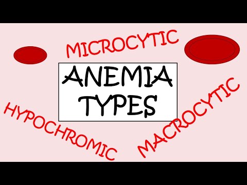 3 MAJOR TYPES OF ANEMIA