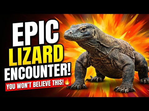 Epic Monitor Lizard Encounter! 🦎🔥.     #MonitorLizard #Lizard #Reptile #Wildlife #Nature #