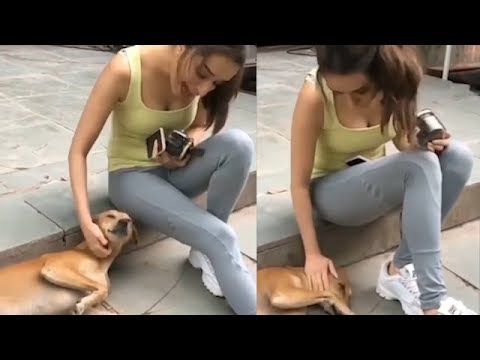 Hot Shraddha Kapoor Fun With Dog