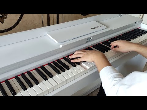 When the pianist saw enough memes