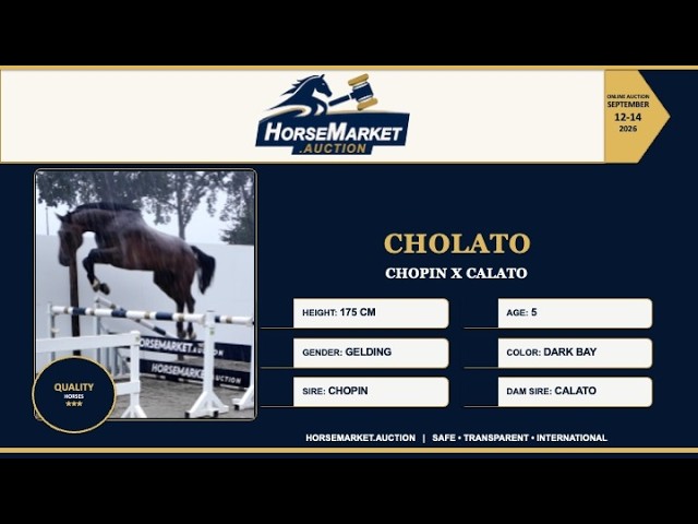 Cholato